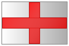 International Cricket Team 1