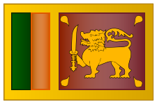 International Cricket Team 1