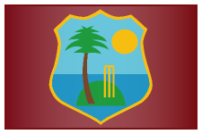 International Cricket Team 2